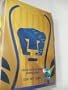PUMAS DE LA UNAM OFFICIAL SPORTS FRAGANCE