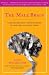 The Male Brain