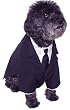 Dog Business Suit Shirt Tie Petite