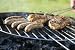 101 Camping and Outdoor Recipes