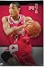 Chicago Bulls Derrick Rose NBA Art Poster Print 22x34