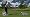 Tiger Woods PGA Tour 11