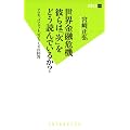 世界金融危機 彼らは「次」をどう読んでいるか？ (双葉新書)