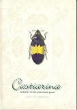 Castiarina: Australia's Richest Jewel Beetle Genus