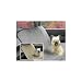 Pet Voyage Car Seat Cover 56" x 48" Camel Color