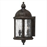 Capitol 19 x 9 Dark Sky and Energy Efficient Outdoor Wall Lantern in Forum Bronze