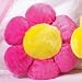 Kitchen & Housewares : PINK PLUSH FLOWER CUSHION