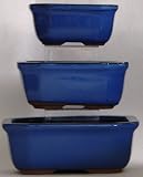 BuyBonsai's Bonsai Pot Set of 3 Rectangle Blue