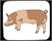 Mouse Pad with domestic, swine, barnyard, pig, boar, livestock, sow, galt, animal