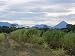 Arenal Volcano from Afar, Muelle, Alajuela, Costa Rica, Central America Photographic Poster Print by Pearl Bucknall, 12x9