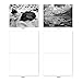 The Best Card Company - 10 Blank Note Cards with Envelopes (4 x 5.12 Inch) - Black & White Photos, Bulk Boxed Set - On the Rocks M3309-NB