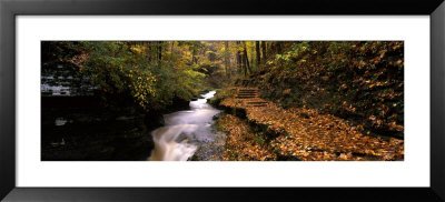 Buttermilk Creek, Ithaca, New York State