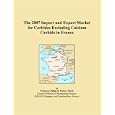 The 2007 Import and Export Market for Carbides Excluding Calcium Carbide in France by Parker, Philip M.