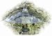 Outdoor Living : 16in. Clear Plastic Squirrel Baffle
