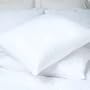 Restful Nights Egyptian Cotton Pillow- Medium Density (sold individually)