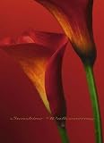 Red Calla Lilies 406 Wall Mural