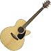 Takamine G Series EG440SC NEX Acoustic Electric Guitar, Natural