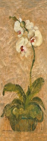 Cheri Blum - Phalaenopsis, Size: 10 x 30 Matte Finish