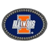 Illinois Fighting Illini Logo Lapel Pin (Set of 2)