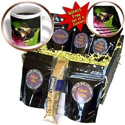 Insects - Honey Bee - Coffee Gift Baskets - Coffee Gift Basket