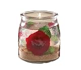Review Langley Empire Candle 49239 / Langley Rose 16 ounce Gel Candle