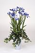 Artificial Iris with Mini Ivy