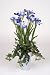 Artificial Iris with Mini Ivy, Blue