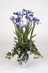 Artificial Iris with Mini Ivy