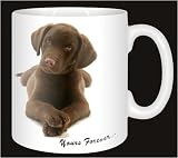 Review Advanta  / CHOCOLATE LABRADOR-YOURS FOREVER Coffee Mug