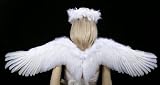White Feather Costume Wings & Halo for Teens & Adults Angel Fairy Faery Cosplay Photo Props.
