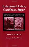 Indentured Labor, Caribbean Sugar: Chinese and Indian Migrants to the British West Indies, 1838-1918 (Johns Hopkins Studies in Atlantic History and Culture)