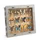Butterfly Object Collection (x12)