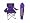Northern Iowa Panthers