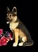 Large German Shepherd Figure