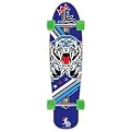 FS Skateboard - Blue (7.6)