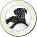 Kitchen & Housewares : BLACK LABRADOR Led on Fur Tax Disc Holder