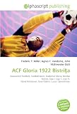 ACF Gloria 1922 Bistria: Association football, Football team, Stadionul Gloria, Nicolae Manea, Liga I, Liga II, Liga III, Viorel Moldovan, Gavril Balint, Lucian Sânmrtean
