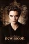 Twilight New Moon Movie Poster - Edward Full Size Print Poster Print, 24x36