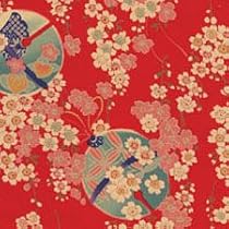 BabyHawk Mei Tai Tamari Plum Blossum