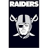 Oakland Raiders Applique Banner Flag