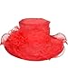 Women Kentucky Derby Church Dress Organza Hat Wide Brim Flat Hat (8 Colours)