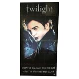 Twilight Rubber Wall/Floor Mural B "Broken Glass"