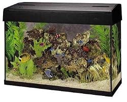 Marineland PFEC29 Eclipse Combo Glass includes Tank & Eclipse Hood, 29-Gallon