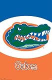 University of Florida (Logo) Art Poster Print - 24 X 36