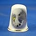 Porcelain China Thimble -- Grey Budgerigar