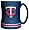 Minnesota Twins