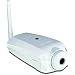 TRENDnet ProView Wireless Internet Surveillance Camera TV-IP501W (White)