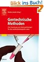Gentechnische Methoden: Eine Sammlung von Arbeitsanleitungen f�r das molekularbiologische Labor