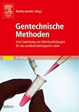 Gentechnische Methoden: Eine Sammlung von Arbeitsanleitungen f&uuml;r das molekularbiologische Labor - Achim Aigner, Thorsten Bangsow, Frank Czubayko, Ute Dechert