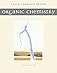 Organic Chemistry (5th Edition)